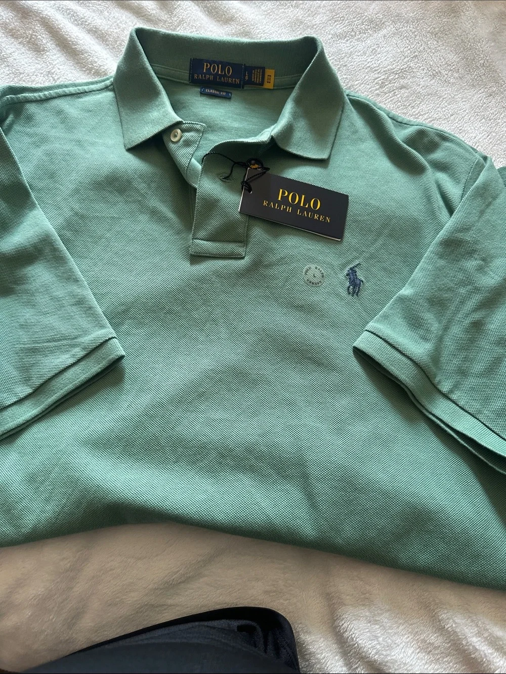 Ralph Lauren Polo Shirt in Mint Green with Embroidered Pony